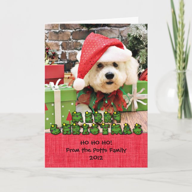 Christmas - Bichon Frise - Daisy Holiday Card (Front)