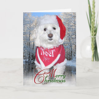 Christmas Bichon Frise Dog Holiday Card