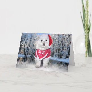 Christmas Bichon Frise Dog Holiday Card