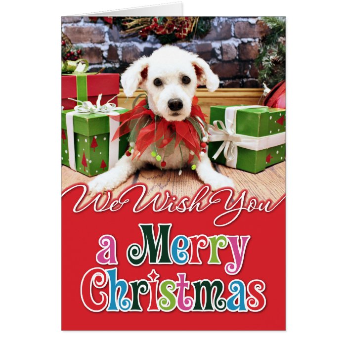 Christmas   Bichon Frise   Harley Cards