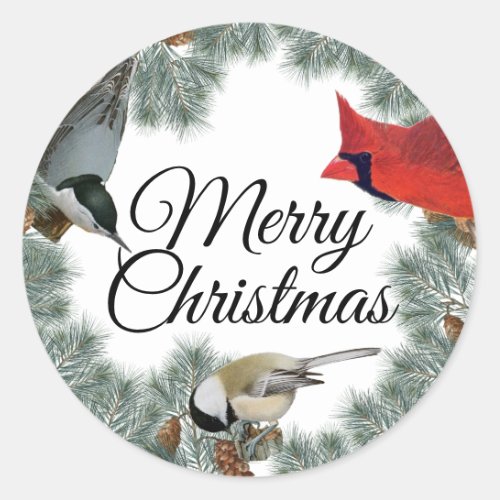 Christmas Bird Cardinal Nuthatch Chickadee Pine  Classic Round Sticker