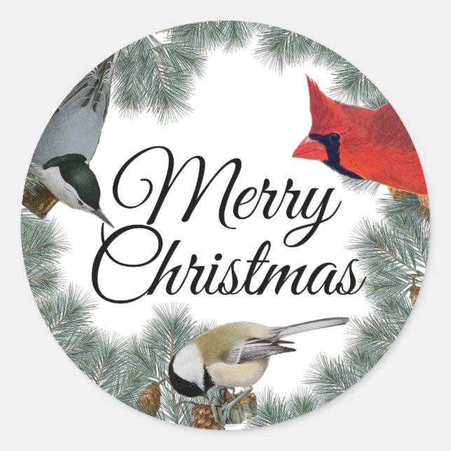 Christmas Bird Cardinal Nuthatch Chickadee Pine  Classic Round Sticker (Front)