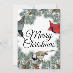 Christmas Bird Cardinal Nuthatch Chickadee Pine  Holiday Card