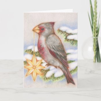 Christmas Bird Desert Cardinal Star Ornament Card by yarmalade at Zazzle