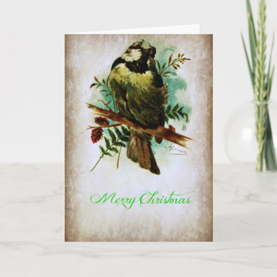Christmas Bird Holiday Card