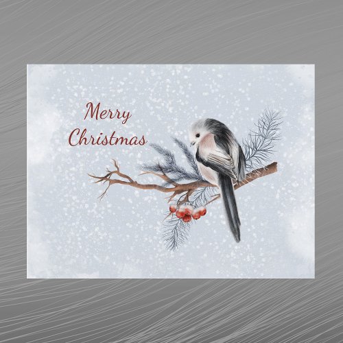 Christmas Bird Red Berries Pine Boughs Watercolor Holiday Postcard