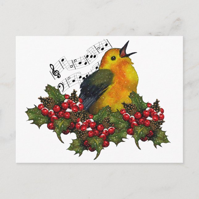 Christmas Bird Singing With Hollly, Berries Holiday Postcard (Front)