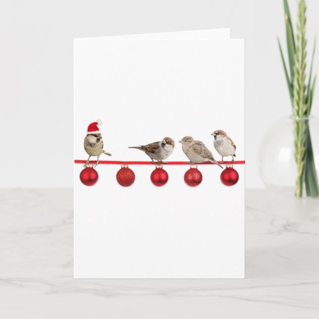 Christmas birds sparrows holiday card (Front)