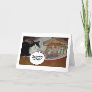 Christmas Black and White Cat Humor Holiday Card