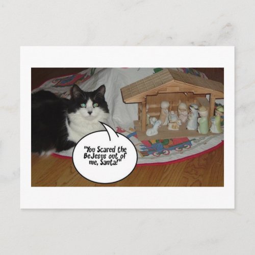 Christmas Black and White Cat Humor Holiday Postcard