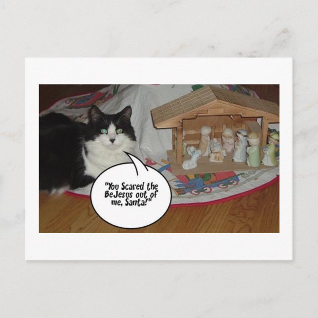 Christmas Black and White Cat Humor Holiday Postcard (Front)