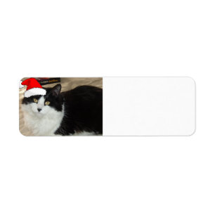 Christmas Black and White Cat Label