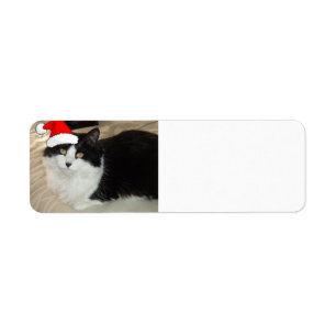 Christmas Black and White Cat Label