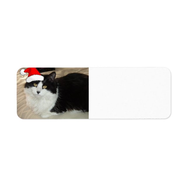 Christmas Black and White Cat Label (Front)