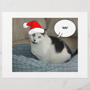 Christmas Black and White Kitten Flyer
