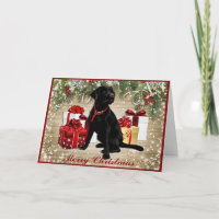 CHRISTMAS BLACK LABRADOR HOLIDAY CARD