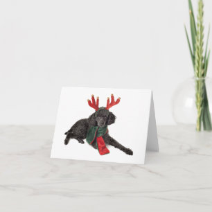 Christmas Black Toy Poodle Dog Dressed as Reindeer Holiday Card