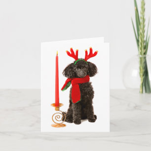 Christmas Black Toy Poodle Dog Dressed as Reindeer Holiday Card