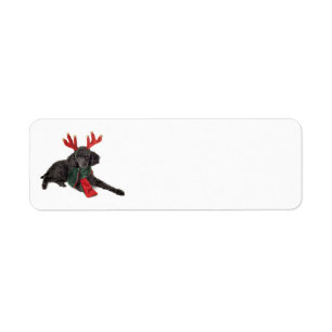Christmas Black Toy Poodle Dog Dressed as Reindeer Label