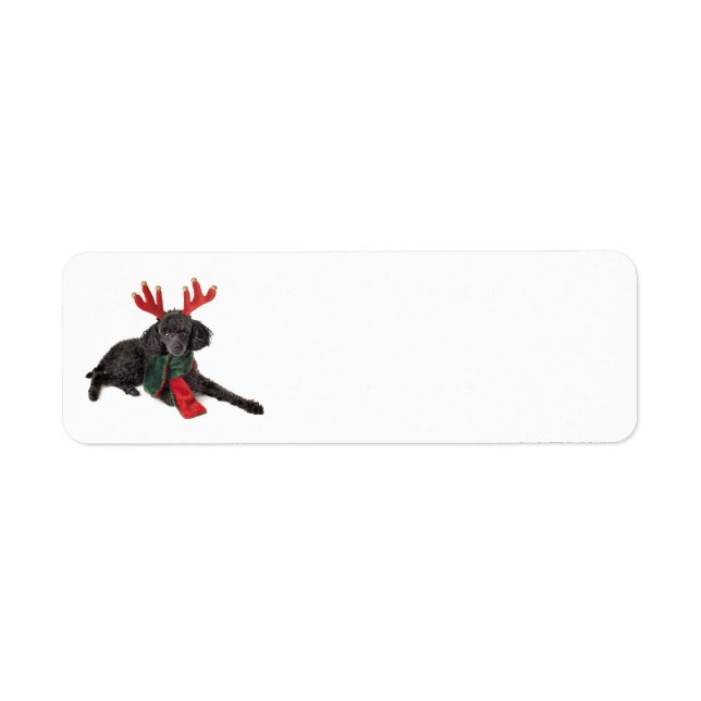 Christmas Black Toy Poodle Dog Dressed as Reindeer Label (Front)