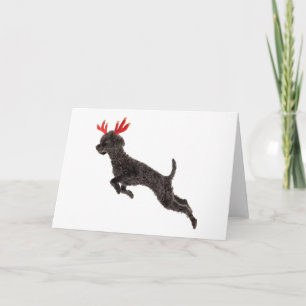 Christmas Black Toy Poodle Dog Reindeer Antlers Holiday Card