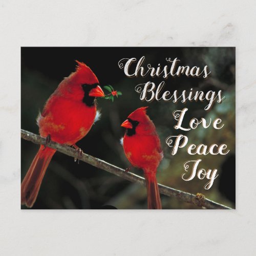 Christmas Blessings Love Peace Joy Cardinals Postcard