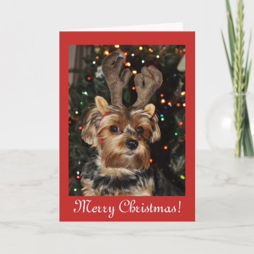 Christmas blessingsYorkshire terrier dog puppy Holiday Card