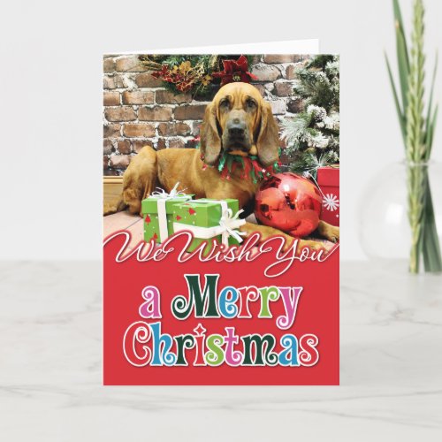 Christmas _ Bloodhound _ Penney Holiday Card