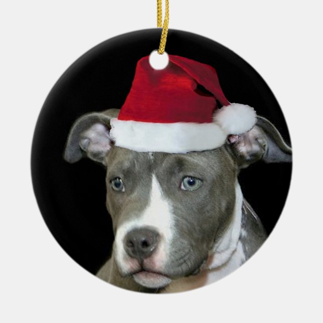 Christmas blue pitbull puppy ceramic ornament (Front)