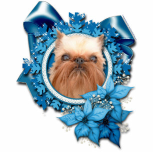 Christmas - Blue Snowflake - Brussels Griffon Statuette
