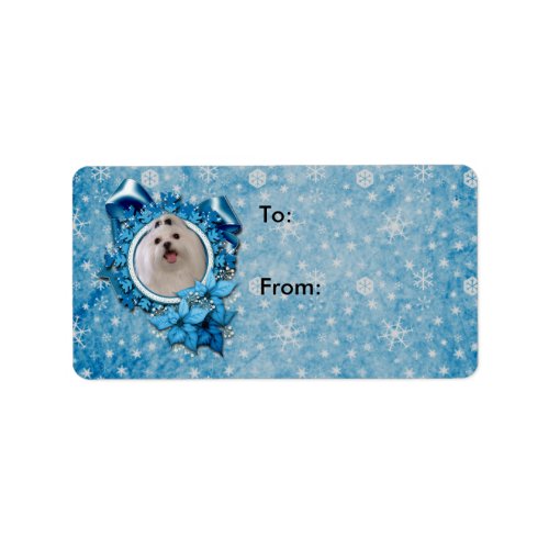 Christmas _ Blue Snowflakes _ Maltese Label