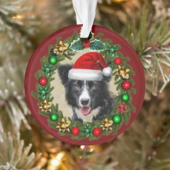 Christmas Border Collie Acrylic Ornament by ritmoboxer at Zazzle