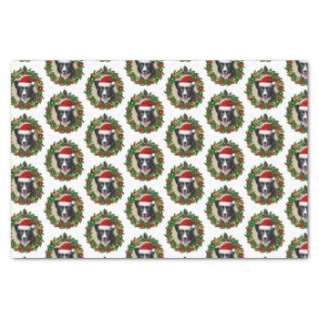 Christmas Border Collie Dog Tissue Paper by ritmoboxer at Zazzle