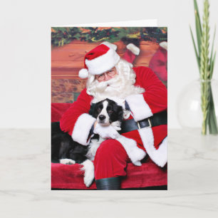 Christmas - Border Collie - Flip Holiday Card