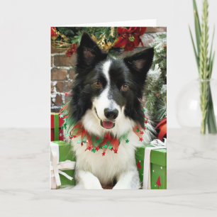 Christmas - Border Collie - Jessup Holiday Card