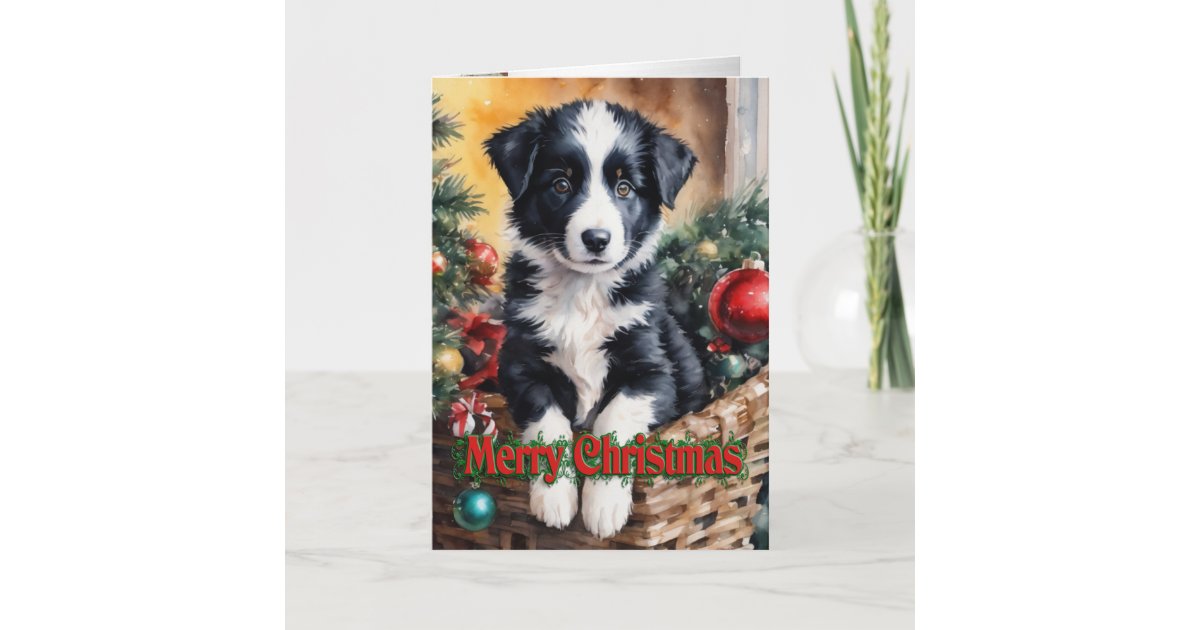Christmas Border Collie puppy in a basket Holiday Card | Zazzle