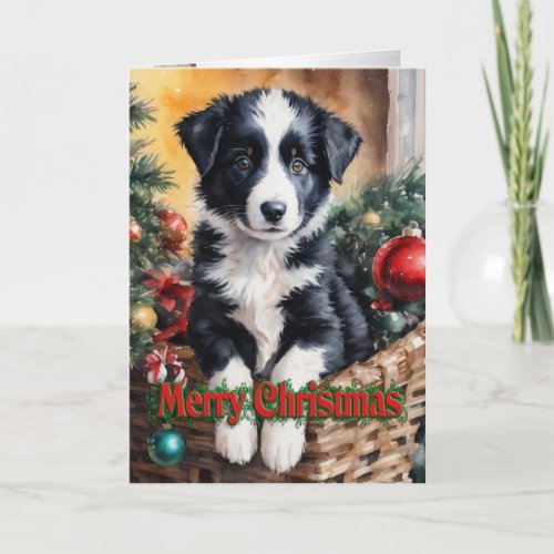 Christmas Border Collie puppy in a basket  Holiday Card