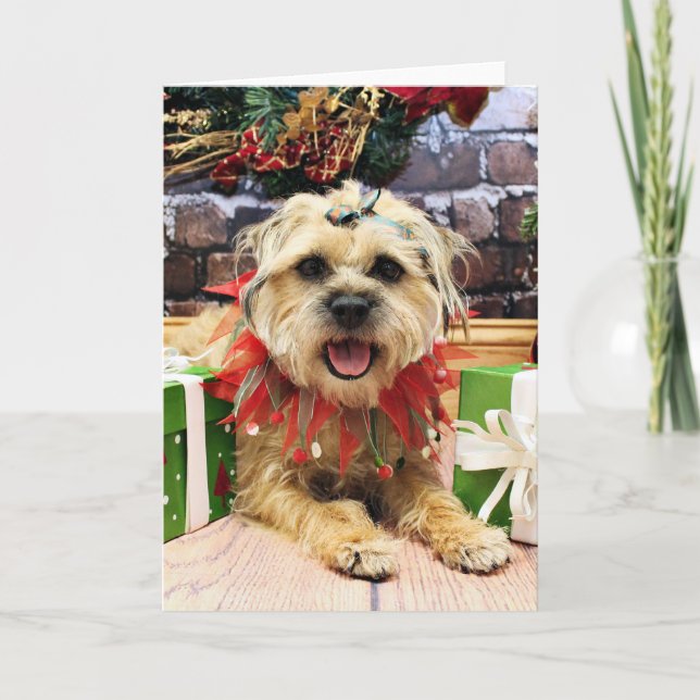 Christmas - Border Terrier - Reagan Holiday Card (Front)