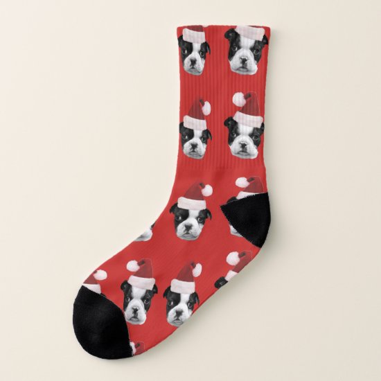Christmas Boston Terrier dog socks