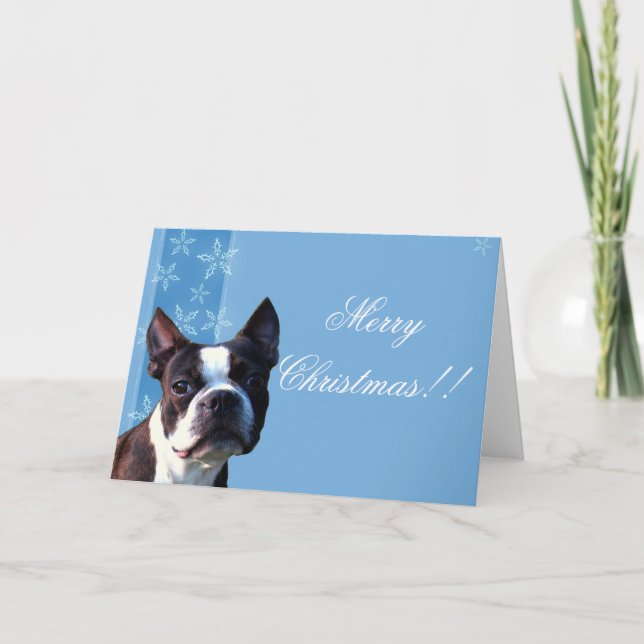 Christmas Boston terrier greeting card (Front)