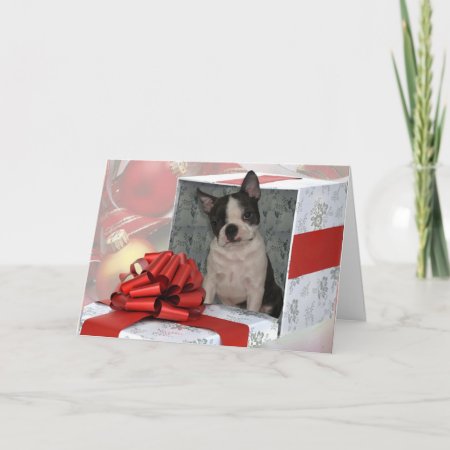 Christmas Boston Terrier Greeting Card
