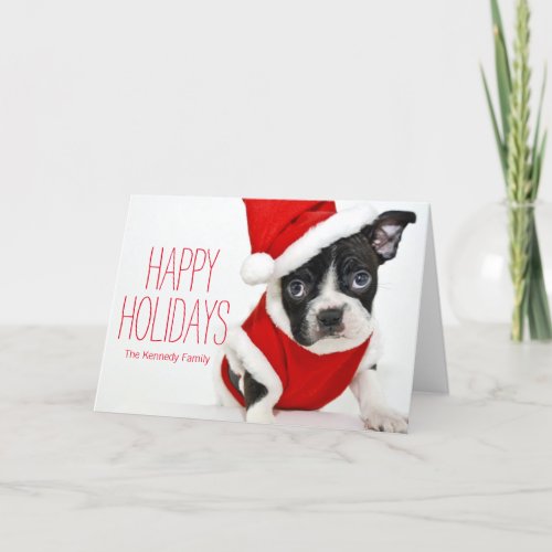 Christmas boston terrier holiday card