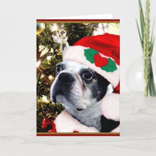 Christmas Boston terrier Holiday Card