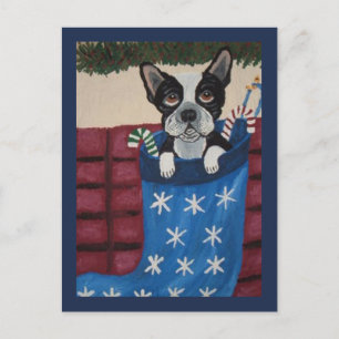 Christmas Boston Terrier in a Stocking Postcard