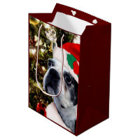 Christmas Boston Terrier medium Gift Bag
