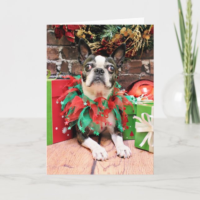 Christmas - Boston Terrier - Natty Holiday Card (Front)