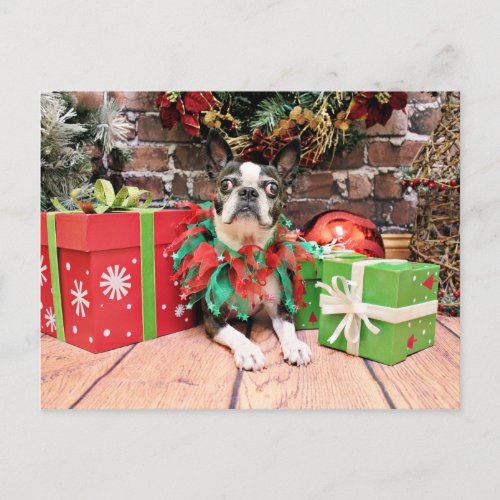 Christmas _ Boston Terrier _ Natty Holiday Postcard