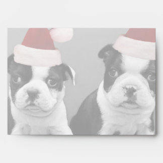 Christmas Boston Terrier puppies Envelope