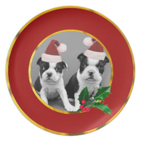 Christmas Boston Terrier puppies Melamine Plate