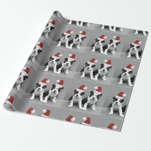 Christmas Boston Terrier puppies Wrapping Paper